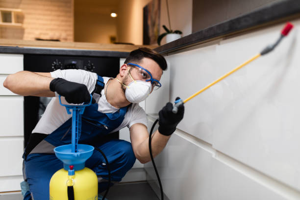 Best Best Pest Control Companies  in Rolling Fork, MS