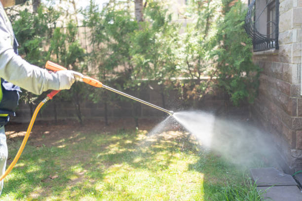 Best Commercial Pest Control Services  in Rolling Fork, MS