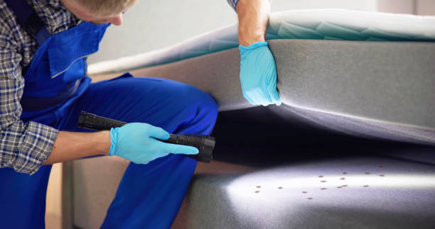 Best Pest Inspection Near Me  in Rolling Fork, MS