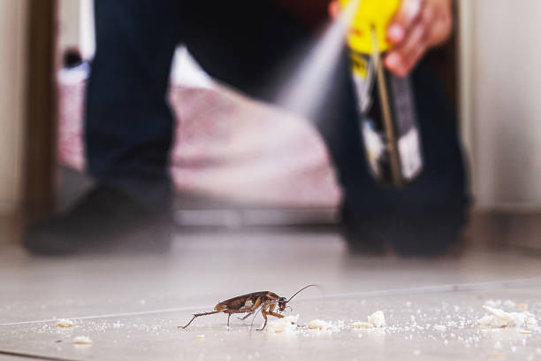 Best Affordable Pest Control Services  in Rolling Fork, MS